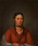Hayne Hudjihini Aigle des délices - Henry Inman — widok dzieła