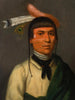 No-Tin Wind, un chef Chippewa - Henry Inman — widok dzieła