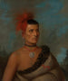 Pes-Ke-Le-Cha-Co - Henry Inman — widok dzieła