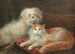 Studium jamnika i kota - Henry Maurice Page — widok dzieła