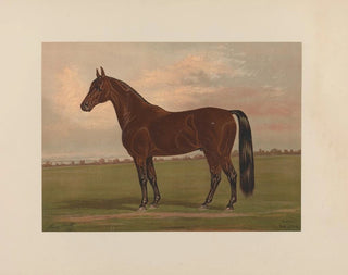 Almont - Henry Stull — widok dzieła