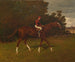 Charles Edward należący do Williama H. Dubois z jeźdźcem na siodle - Henry Stull — widok dzieła