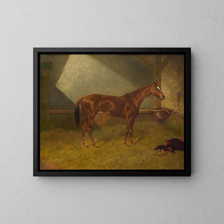 Henry Stull - Fairplay a Racehorse in a Stable.webp