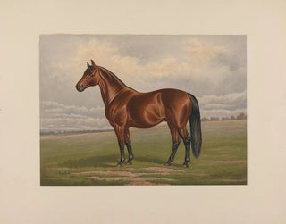 Harold - Henry Stull — widok dzieła