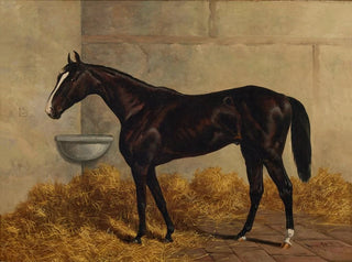 Czarny koń wyścigowy w stajni - Henry Stull — widok dzieła