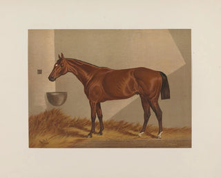 Luke Blackburn - Henry Stull — widok dzieła
