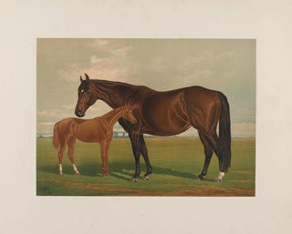 Nevada - Henry Stull — widok dzieła
