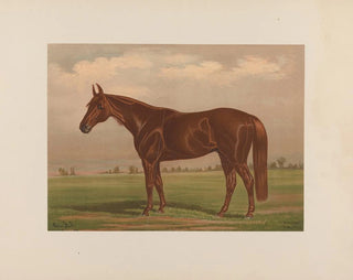 Piémont - Henry Stull — widok dzieła