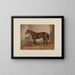 Cheval de Ten Broeck Bay - Henry Stull — oprawiony obraz na ścianie