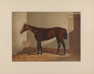 Thora - Henry Stull — widok dzieła