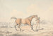Un palefrenier menant un cheval bai - Henry Thomas Alken — widok dzieła