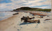 Plaża Cape Cod - Herman Hartwich — widok dzieła