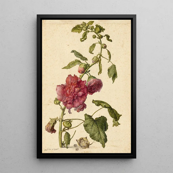 Herman Saftleven - A Hollyhock.webp