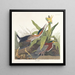 Zielony heron - John James Audubon — oprawiony obraz na ścianie