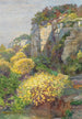 Genêt en fleurs sur Brioni - Hugo Charlemont — widok dzieła