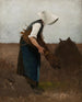 Zbiór maków - Hugo Salmson — widok dzieła