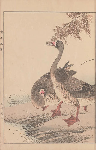 Imao Keinen - Keinen kach gafu Pl005.webp