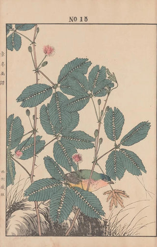 Imao Keinen - Keinen kach gafu Pl017.webp