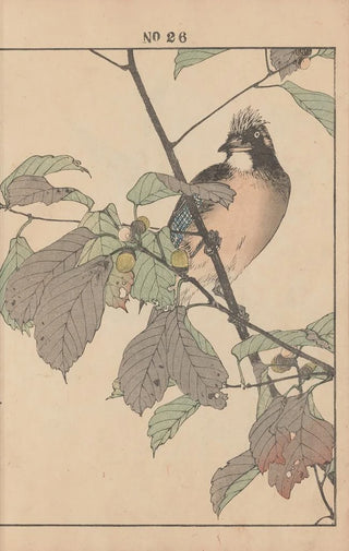 Imao Keinen - Keinen kach gafu Pl028.webp