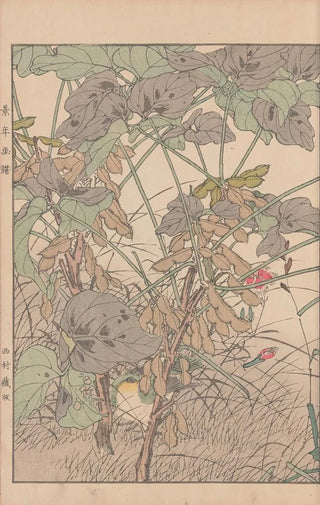 Imao Keinen - Keinen kach gafu Pl033.webp