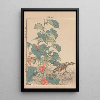 Imao Keinen - Keinen kach gafu Pl037.webp