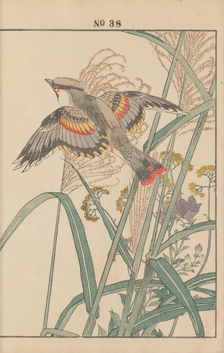 Imao Keinen - Keinen kach gafu Pl042.webp