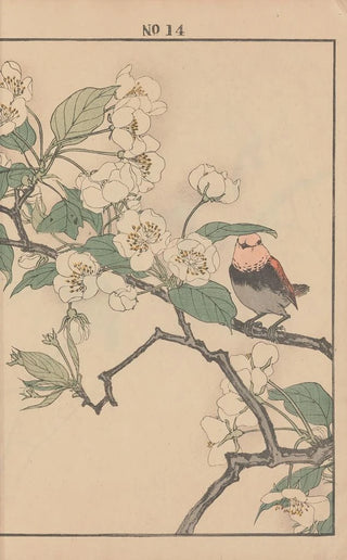 Imao Keinen - Keinen kach gafu Pl060.webp