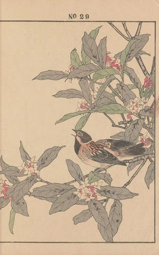 Imao Keinen - Keinen kach gafu Pl080.webp