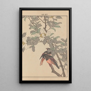 Imao Keinen - Keinen kach gafu Pl146.webp