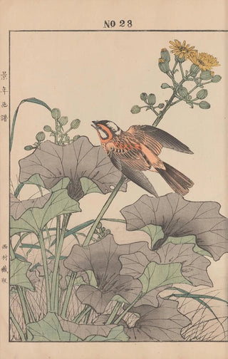 Imao Keinen - Keinen kach gafu Pl147.webp