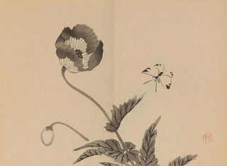 Imao Keinen - Keinen shugajo Pl27.webp