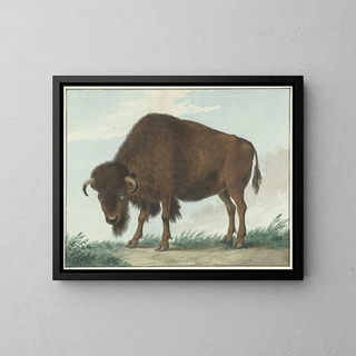 Bison - Isaac van Haastert — oprawiony obraz na ścianie