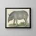 Tapir - Isaac van Haastert — oprawiony obraz na ścianie