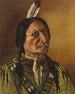 Indian z równin - J. W. Bradshaw — widok dzieła