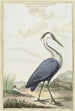 Szary heron - Jabes Heenck — widok dzieła