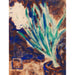 Reprodukcja obrazu Jacinthe blanche - Christian Rohlfs