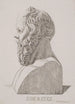 Buste de Socrate - Jacob Kornerup — widok dzieła