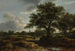 pejzaż z wioską w oddali - Jacob van Ruisdael — widok dzieła