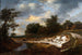 Klif piaszczysty - Jacob van Ruisdael — widok dzieła