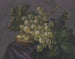 Papillon et guêpe parmi des raisins - Jacoba Maria van Nickelen — widok dzieła
