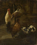 drobiu domowego - Jacomo Victors — widok dzieła