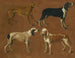 Studium czterech wskaźników - Jacques-Laurent Agasse — widok dzieła
