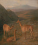Wydry - Jacques-Laurent Agasse — widok dzieła