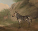 Zebra - Jacques-Laurent Agasse — widok dzieła