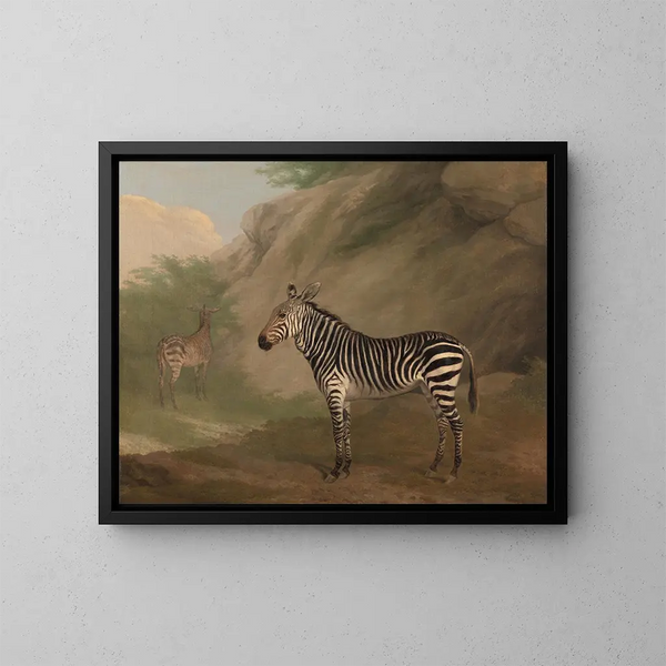 Zebra - Jacques-Laurent Agasse — oprawiony obraz na ścianie