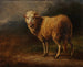 Biały owca - Jacques-Raymond Brascassat — widok dzieła