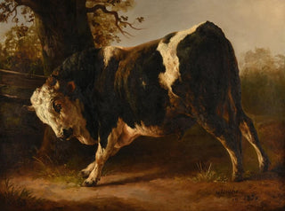 Wściekły byk - Jacques-Raymond Brascassat — widok dzieła