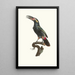 L'Aracari Koulik samiec z Gujany - Jacques Barraband — oprawiony obraz na ścianie