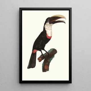 Jacques Barraband - Le Tocards.webp