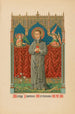 Jan Berchmans - Jacques Petyt — widok dzieła